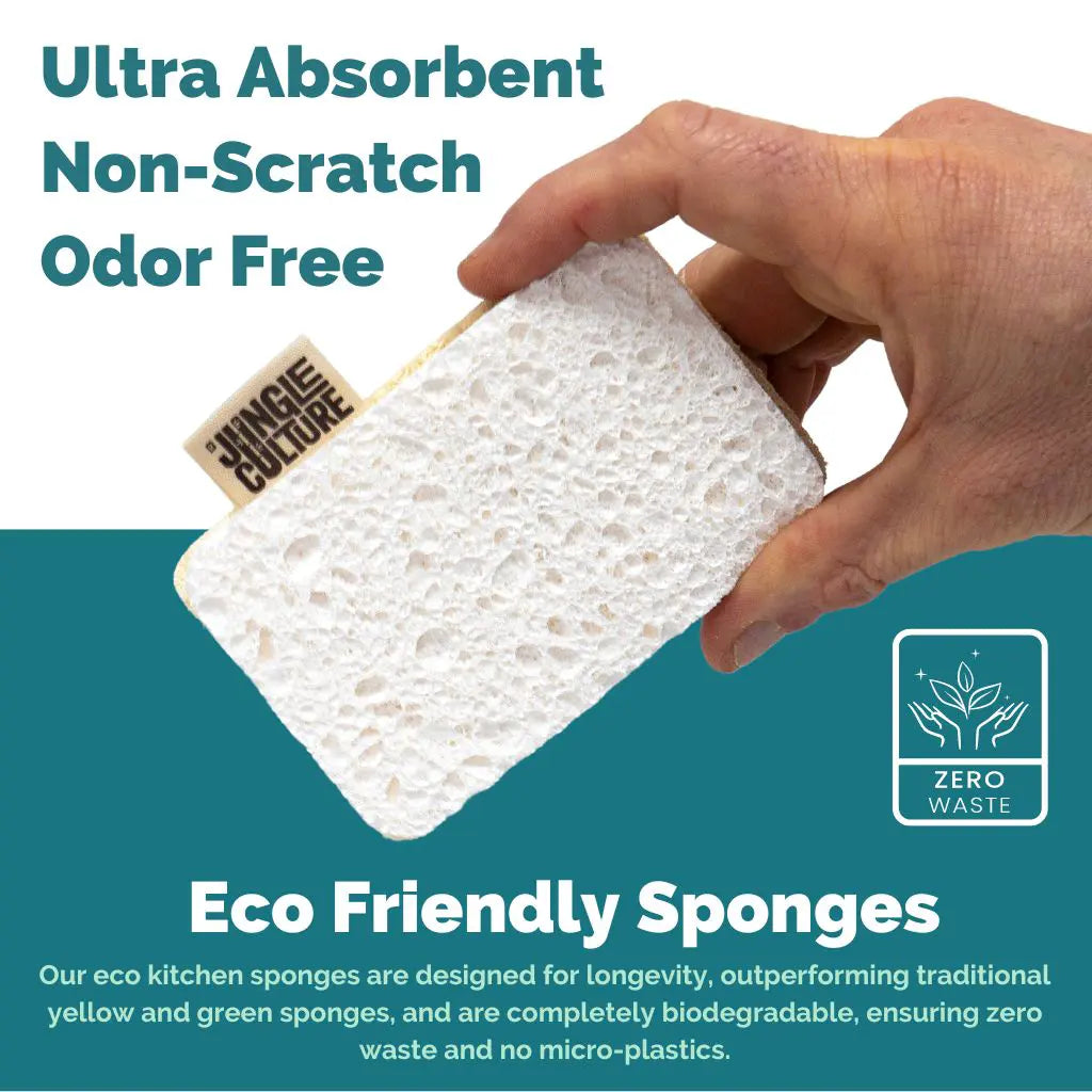 ECO Dish Sponges Shipping to US, UK & EUROPE